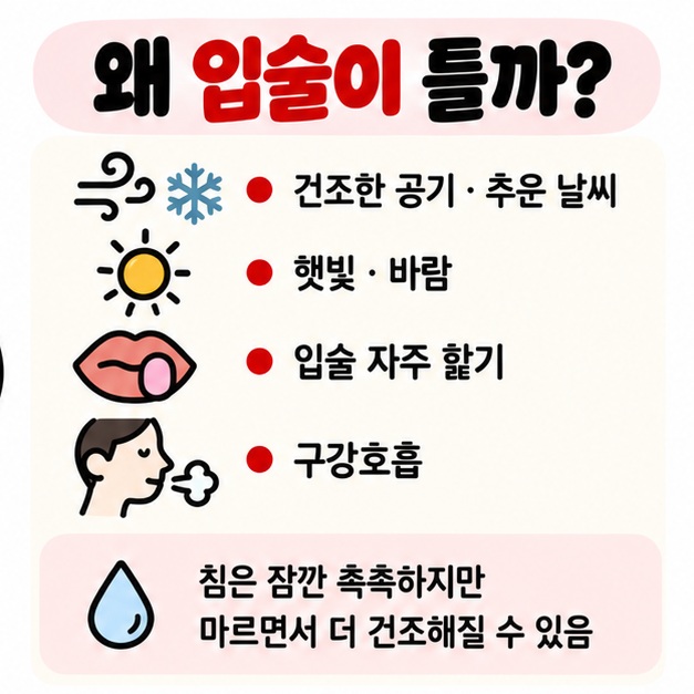 건조한 공기 추운 날씨 햇빛 입술 핥기 구강호흡이 입술 수분을 빼앗아 트게 만드는 원인을 보여주는 카드