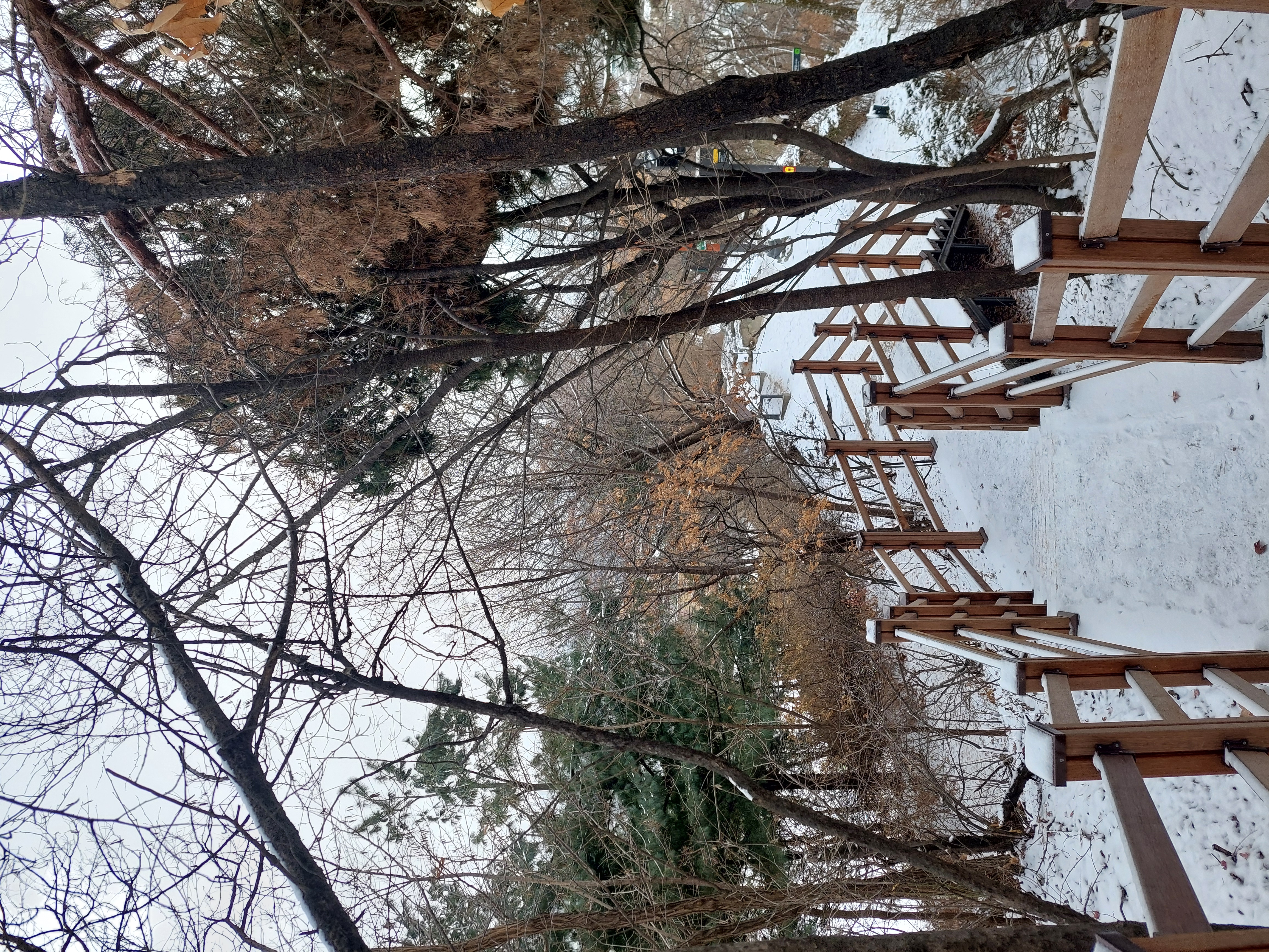 인왕산