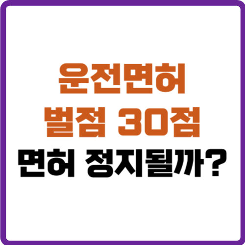 운전면허 벌점 30점