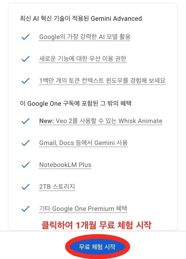 Gemini Advanced 버전 1개월 무료 이용 버튼 설명 이미지