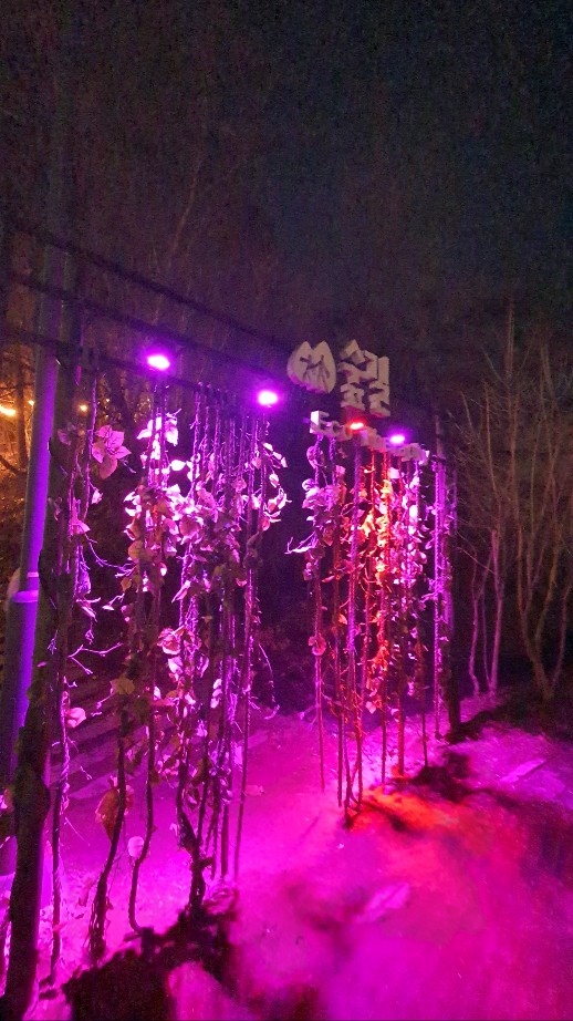 숲길 산책로 입구