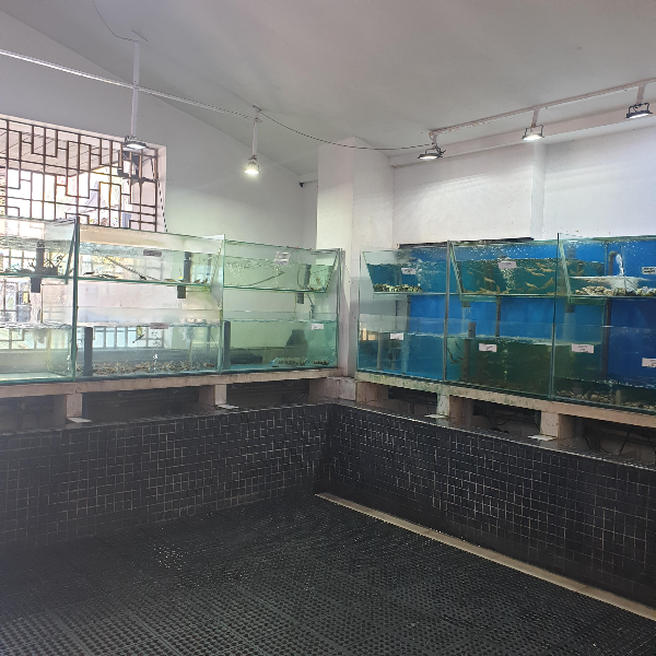 수조가 2단으로 쌓여있고 하나의 코너를 두고 'ㄱ'자 모양으로 배치되어 있다.