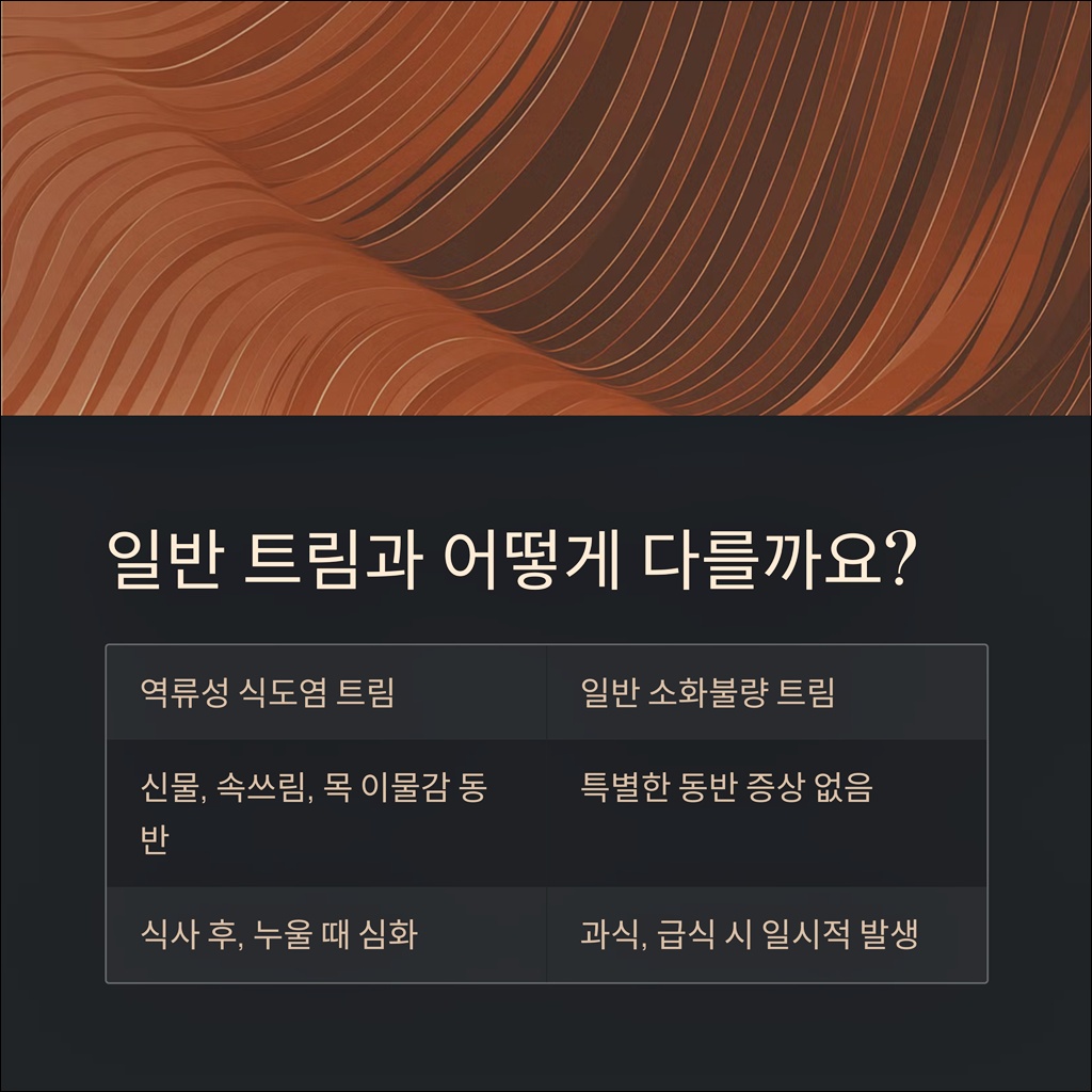 역류성 식도염 트림 구분