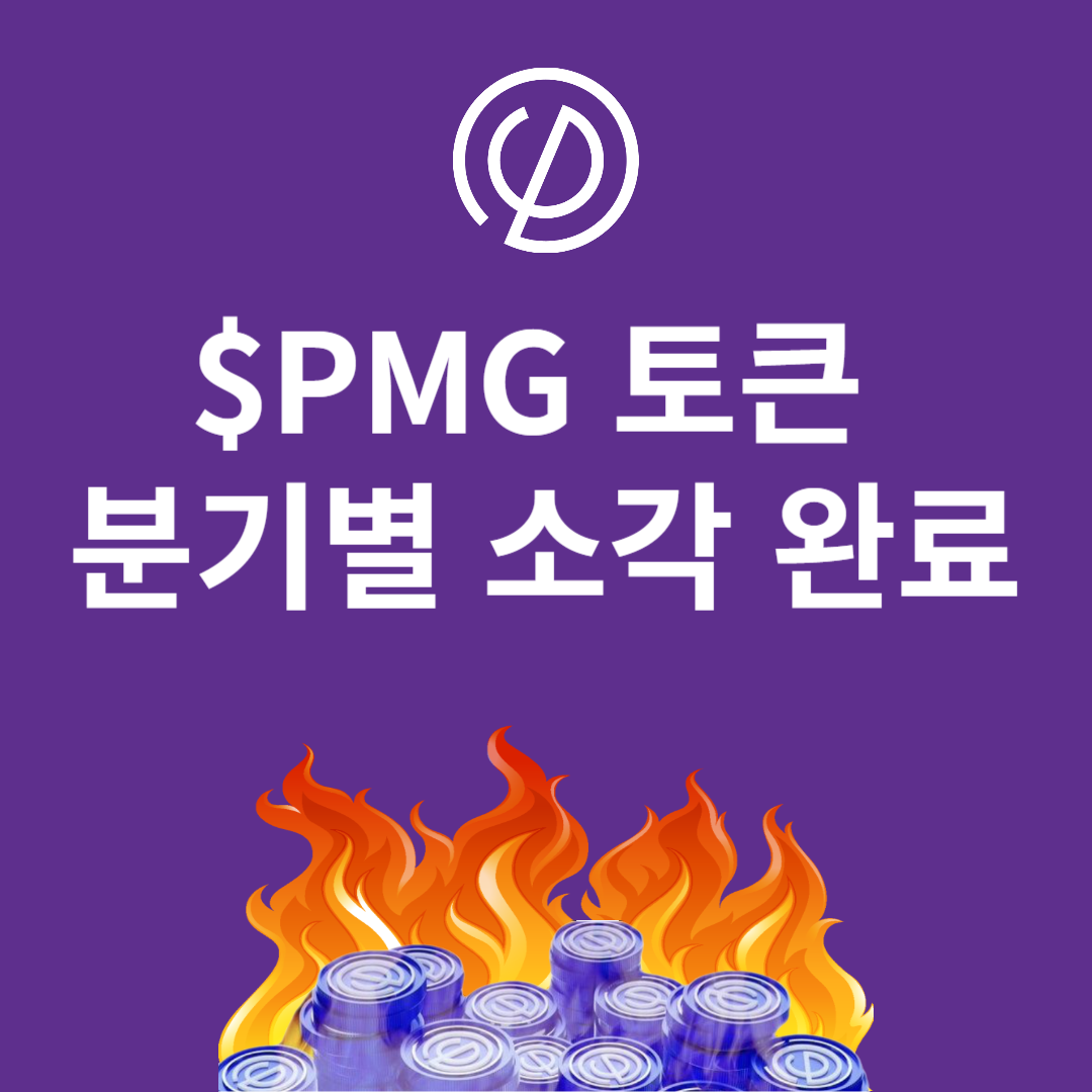 PMG 토큰 소각