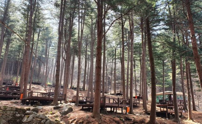 국립청태산자연휴양림