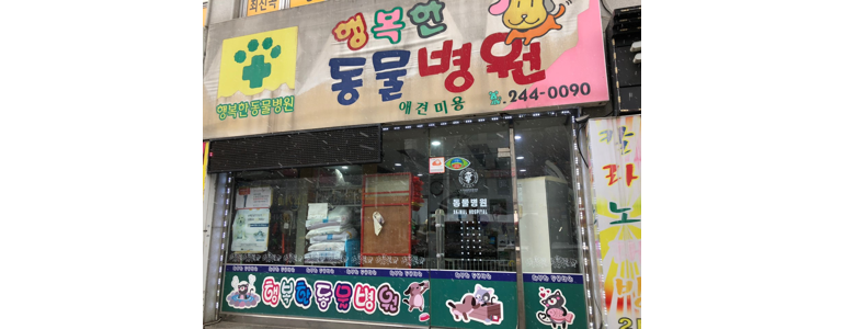 전주 덕진구 동물병원