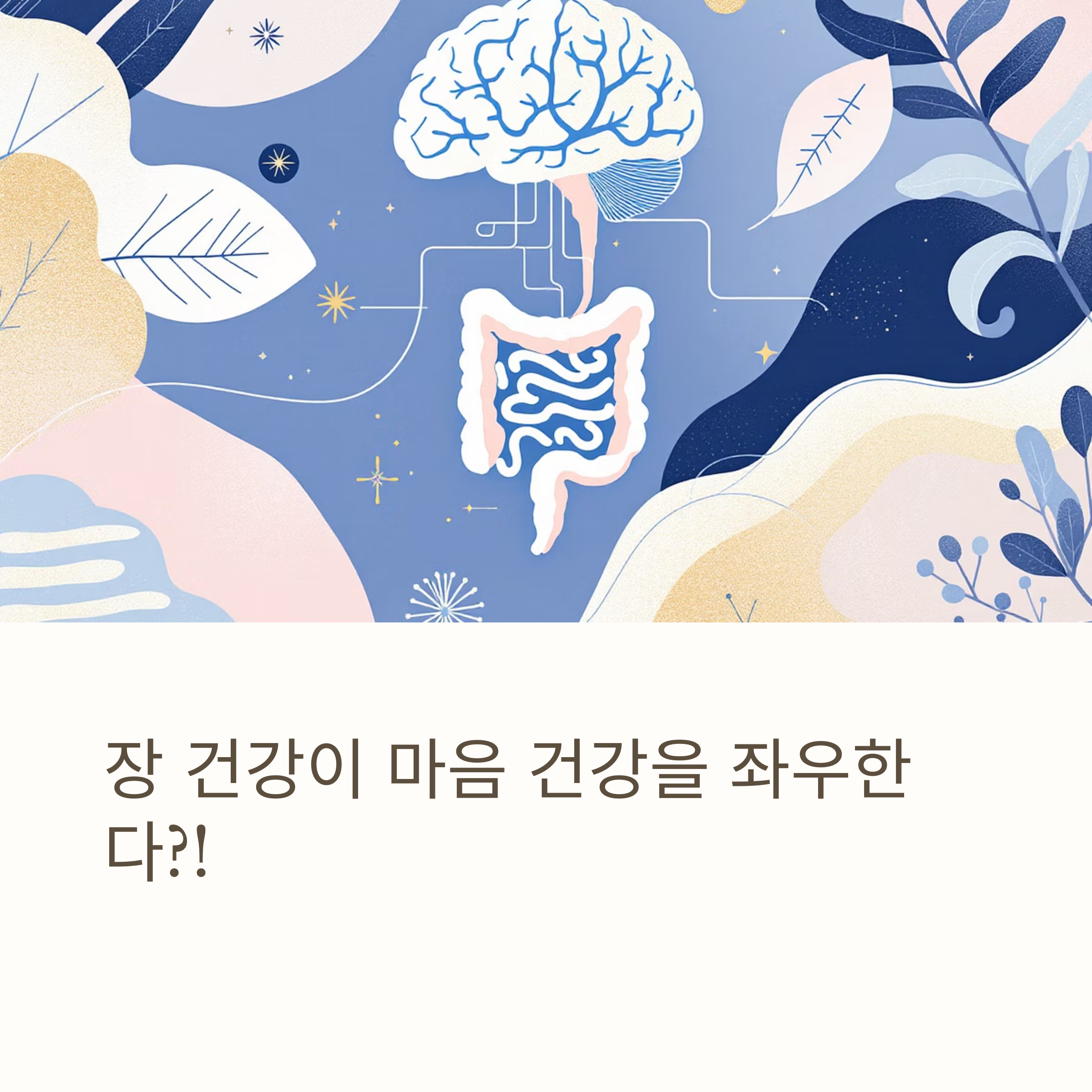 우울증-불안증 완화