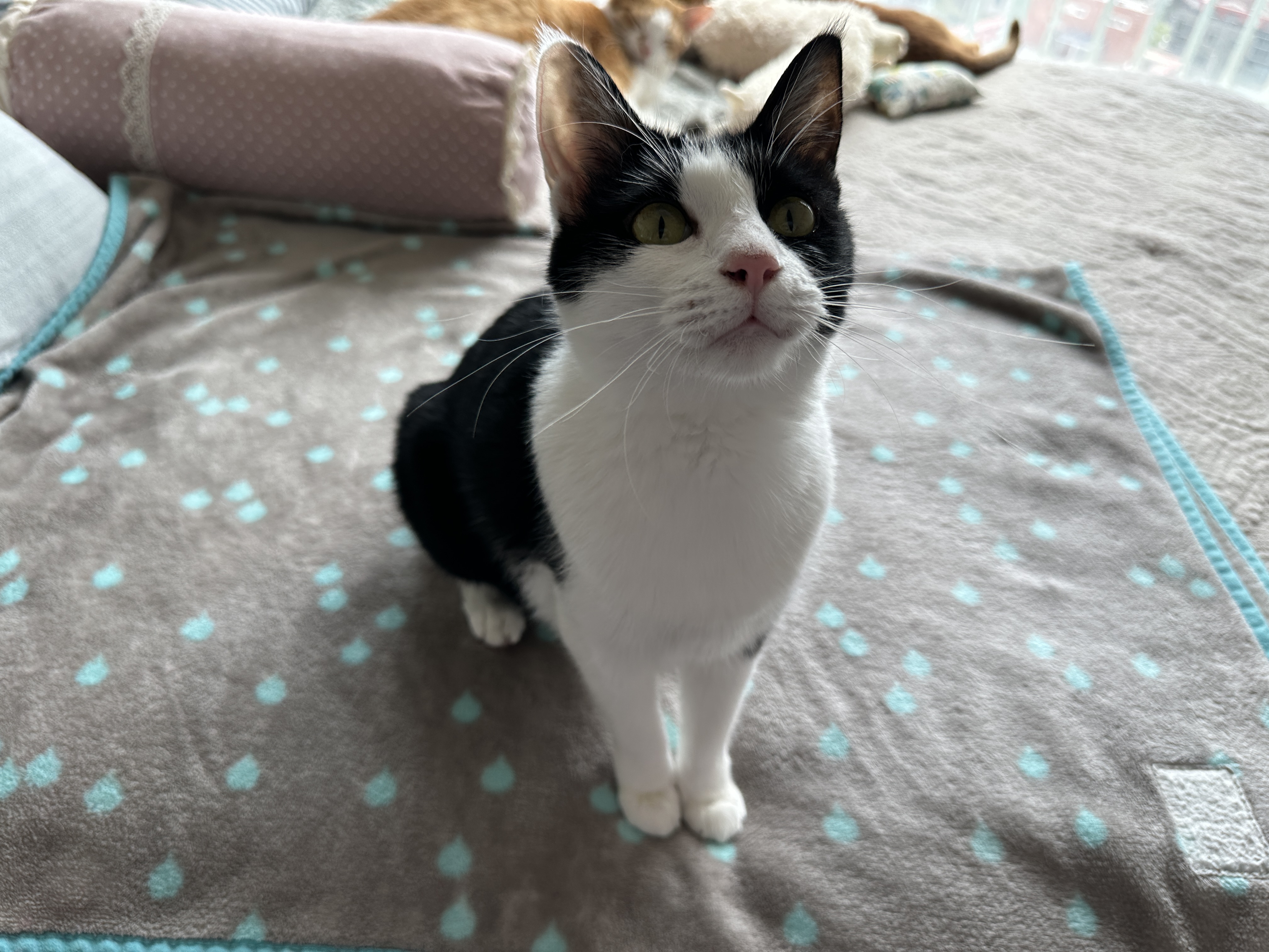 일어나_앉아_엄마랑_눈맞추기