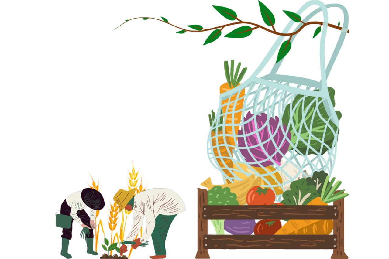 제로 웨이스트 쇼핑법: 포장 없는 장보기 노하우