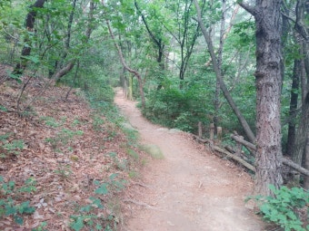 365 서울챌린지 1기 참여혜택&middot;신청방법 총정리