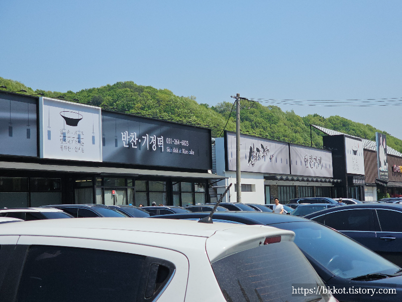 산으로간고등어