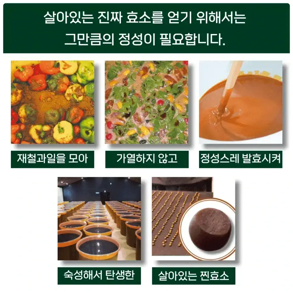 소화효소 추천