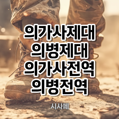 의가사제대-의병제대-의가사전역-의병전역