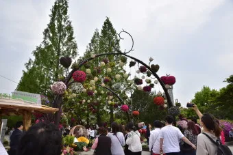 2025 고양국제꽃박람회 일정 사전예약 할인_23