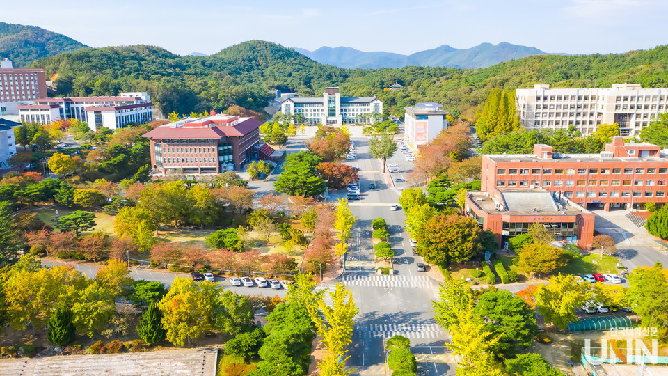 경상북도 대학 총정리｜4년제&middot;전문대&middot;특수대학 한눈에 보기