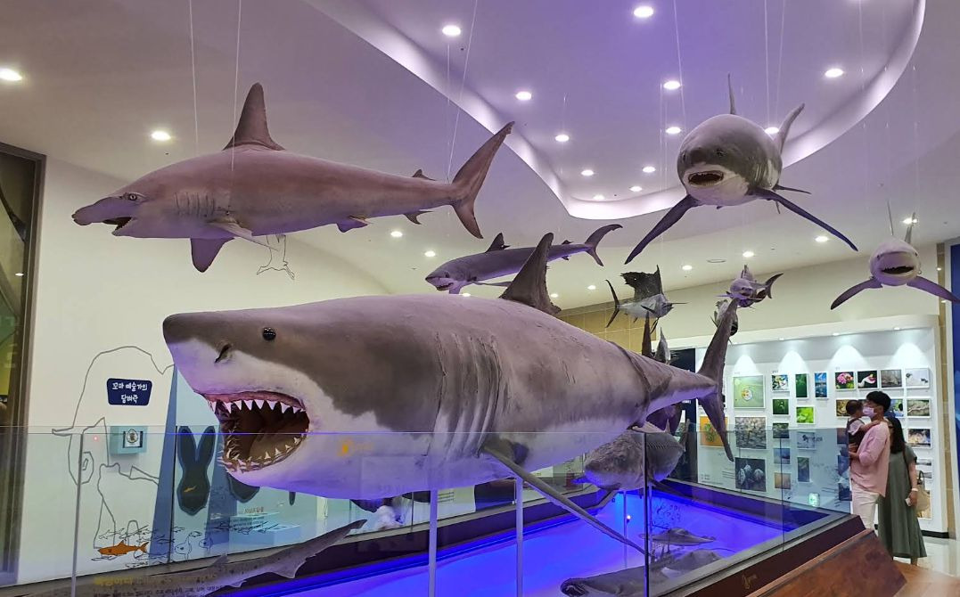 국립낙동강생물자원관