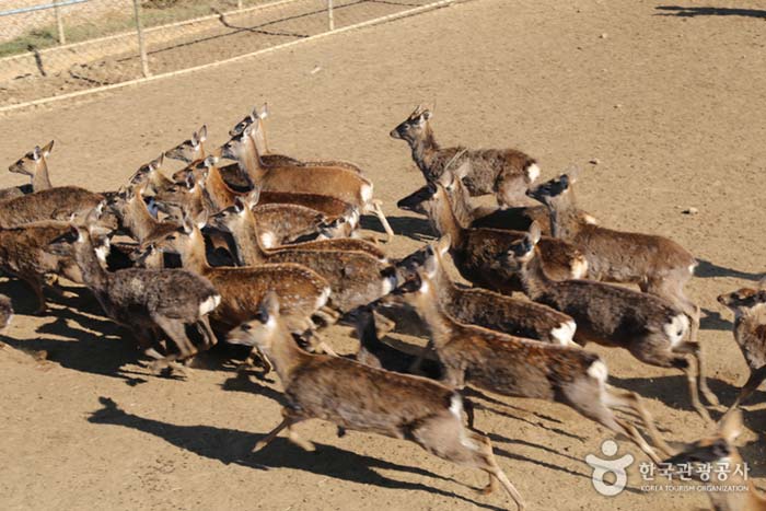 영동 가볼만한곳 베스트10