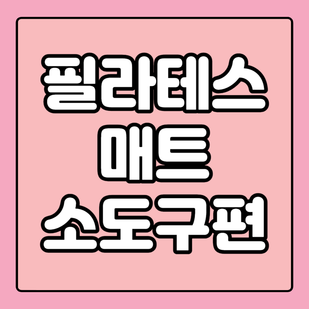 매트 소도구 필라테스 효과 난이도 가격 특징 단점