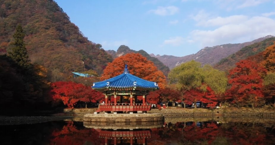 내장산-배경-사진