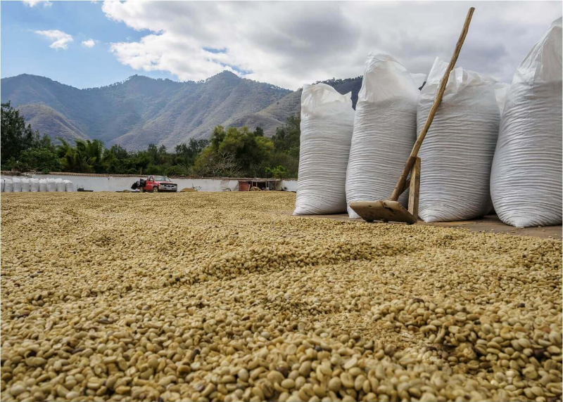 원자재 가격 상승