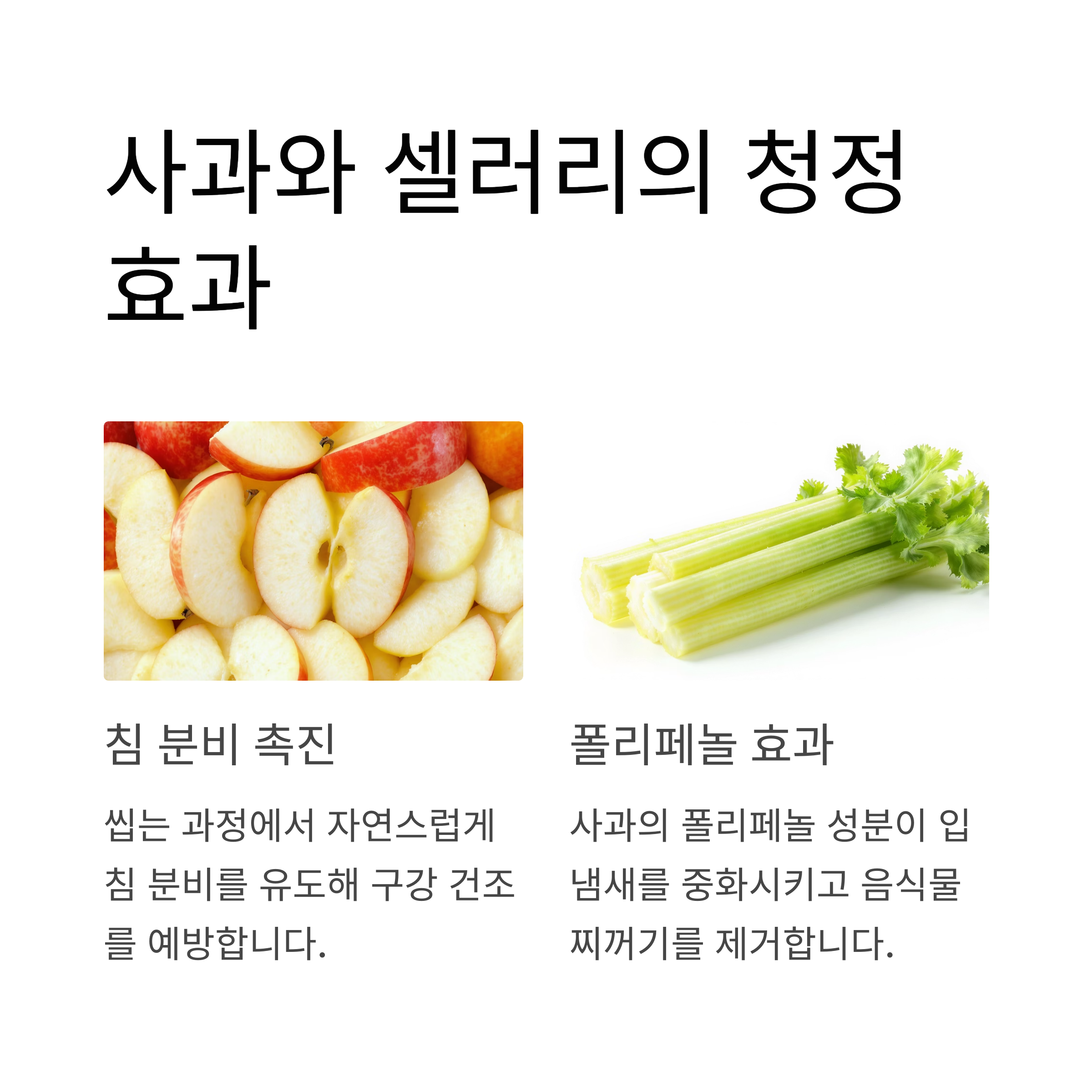사과와 셀러리