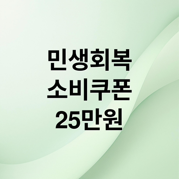민생회복 소비쿠폰 정리