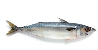 역류성식도염에 좋은 음식 