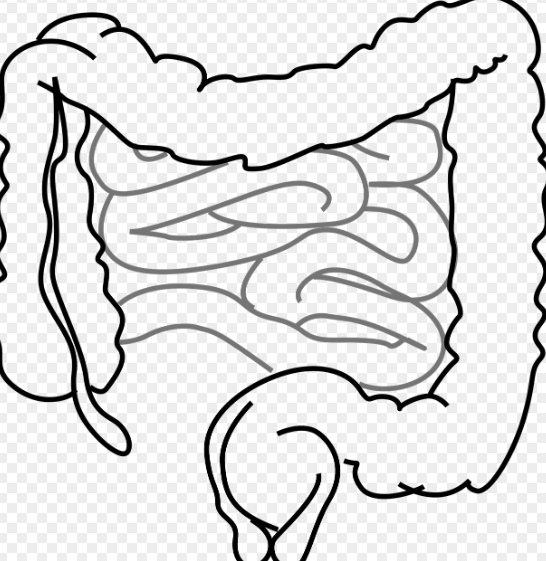 과민성 장 증후군의 진단 기준, 발병, 식단&middot;생활&middot;정서 관리