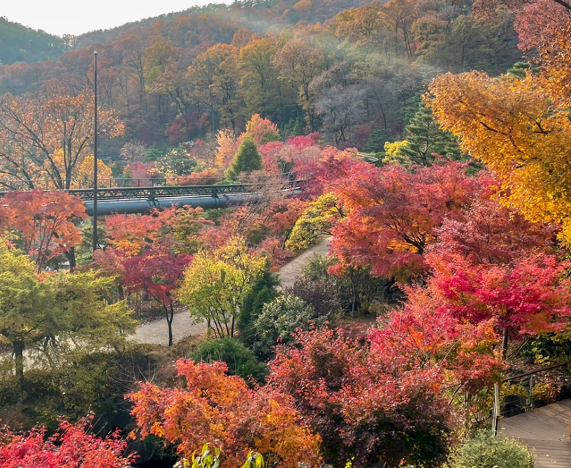 화담숲