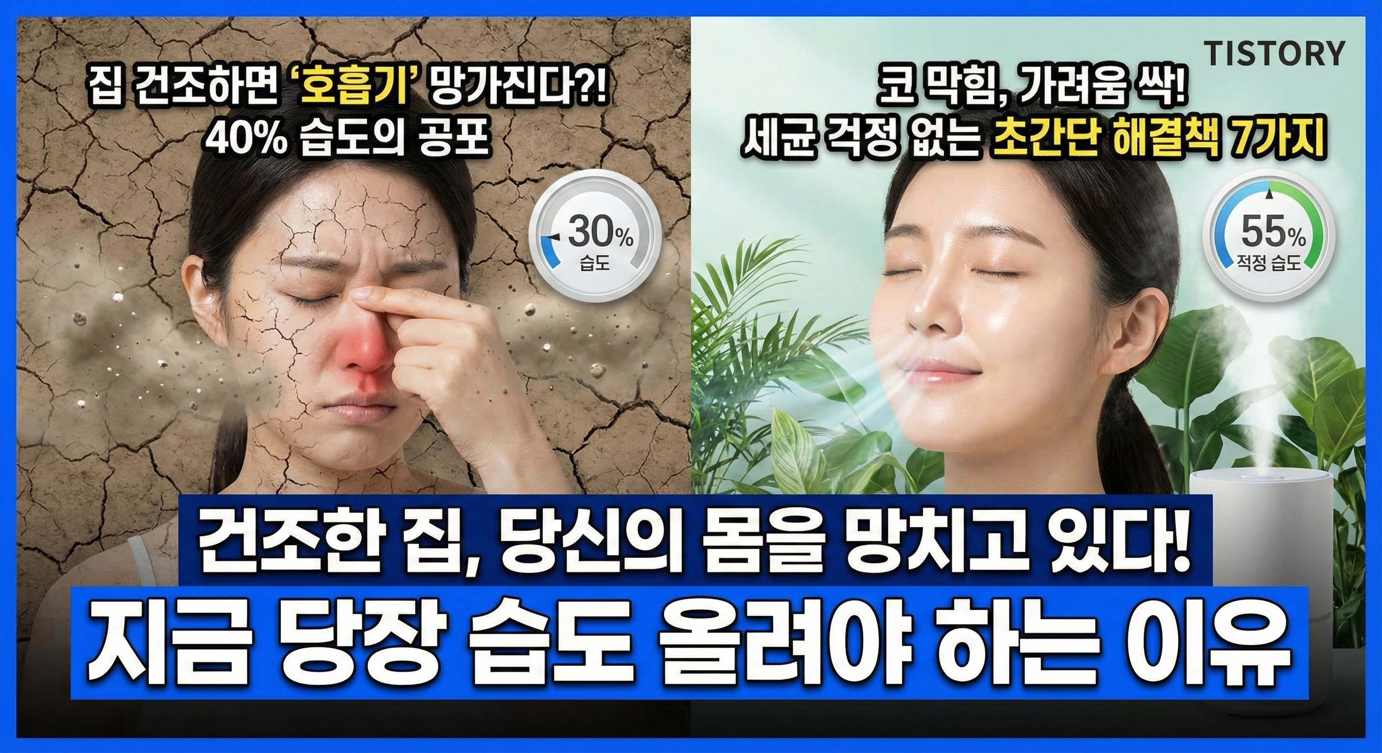 "건조한 집"의 불편함을 넘어, 건강을 지키는 습도 관리의 중요성