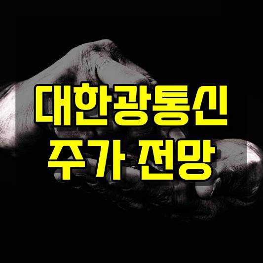 대한광통신 주가 전망