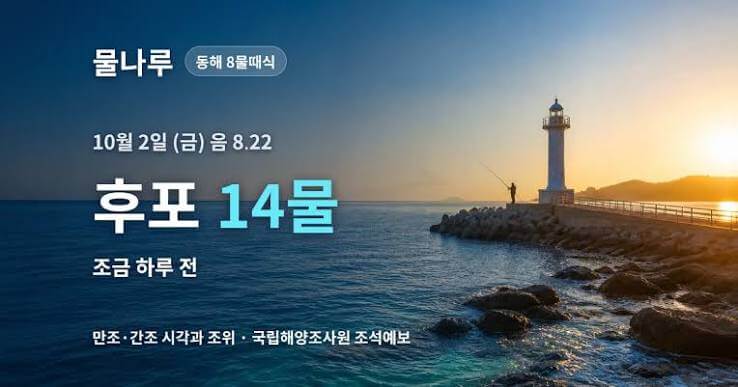 울진 후포 물때표 시간표