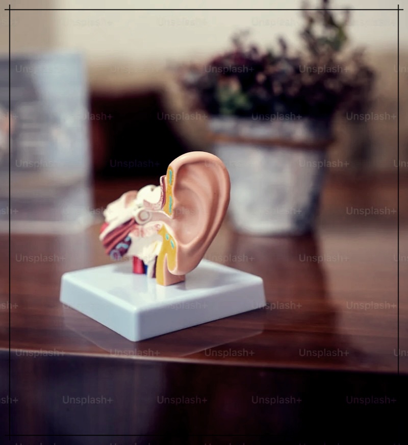 이관기능장애 자연치유하는 3가지 방법 소개