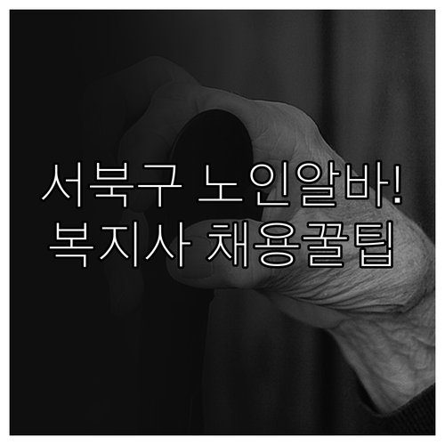 천안시 서북구 노인 일자리 참여 자격..