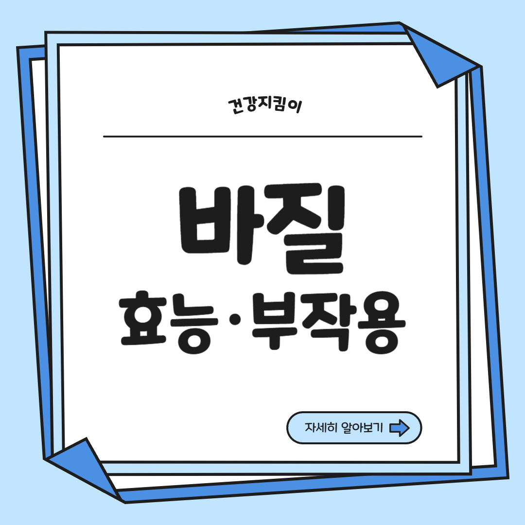 바질 효능 부작용 고르는법 요리 먹는 방법 허브