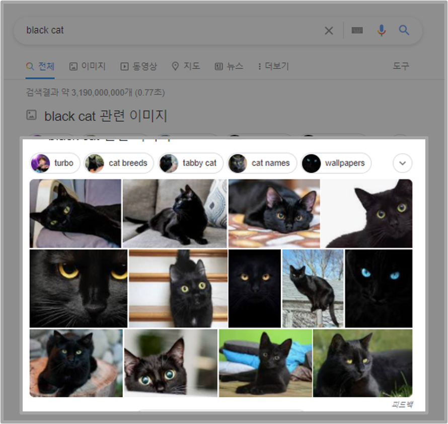 이미지 검색결과 이미지
