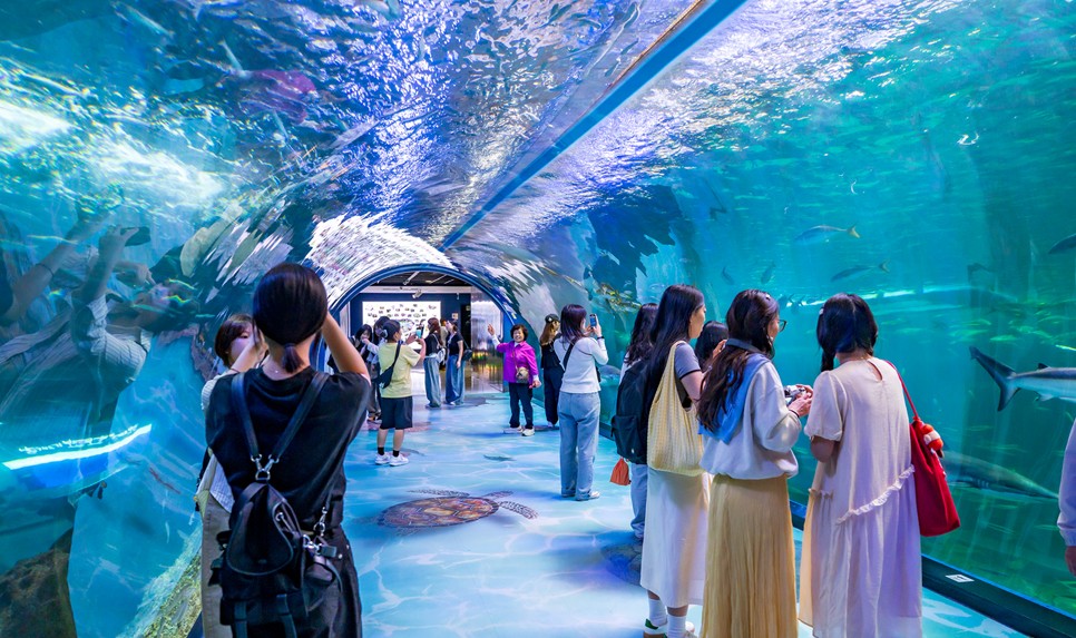 제주 동쪽 가볼만한곳 (아쿠아플라넷 제주)