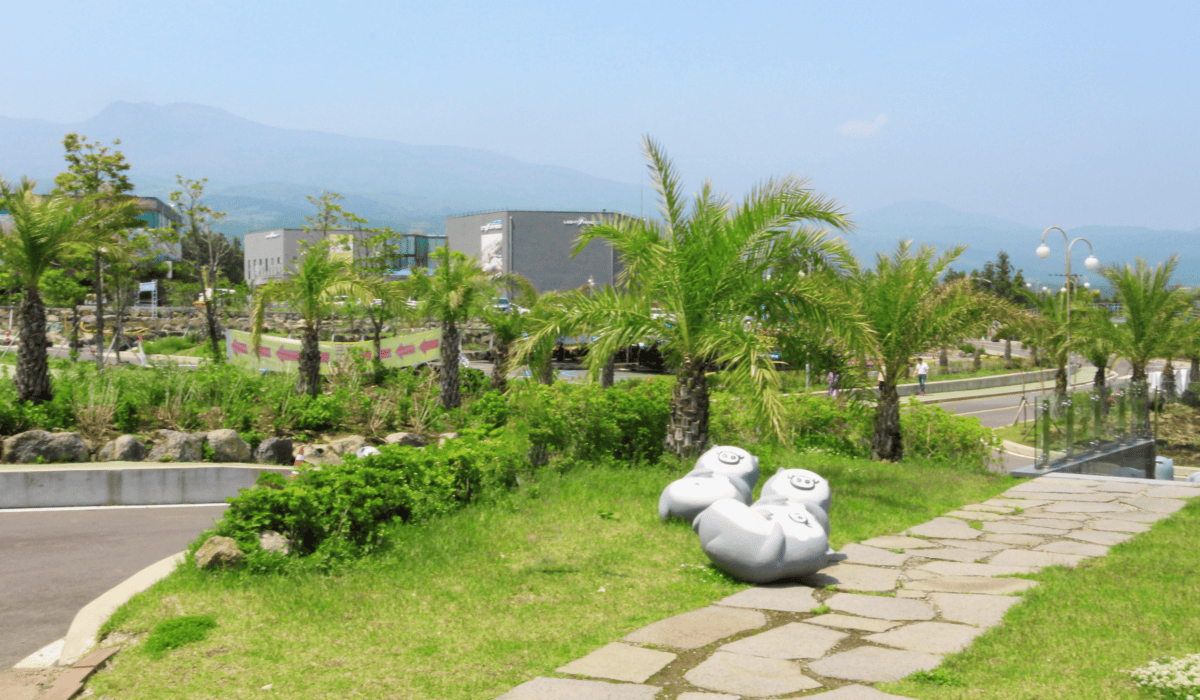 제주렌트카비교사이트_26