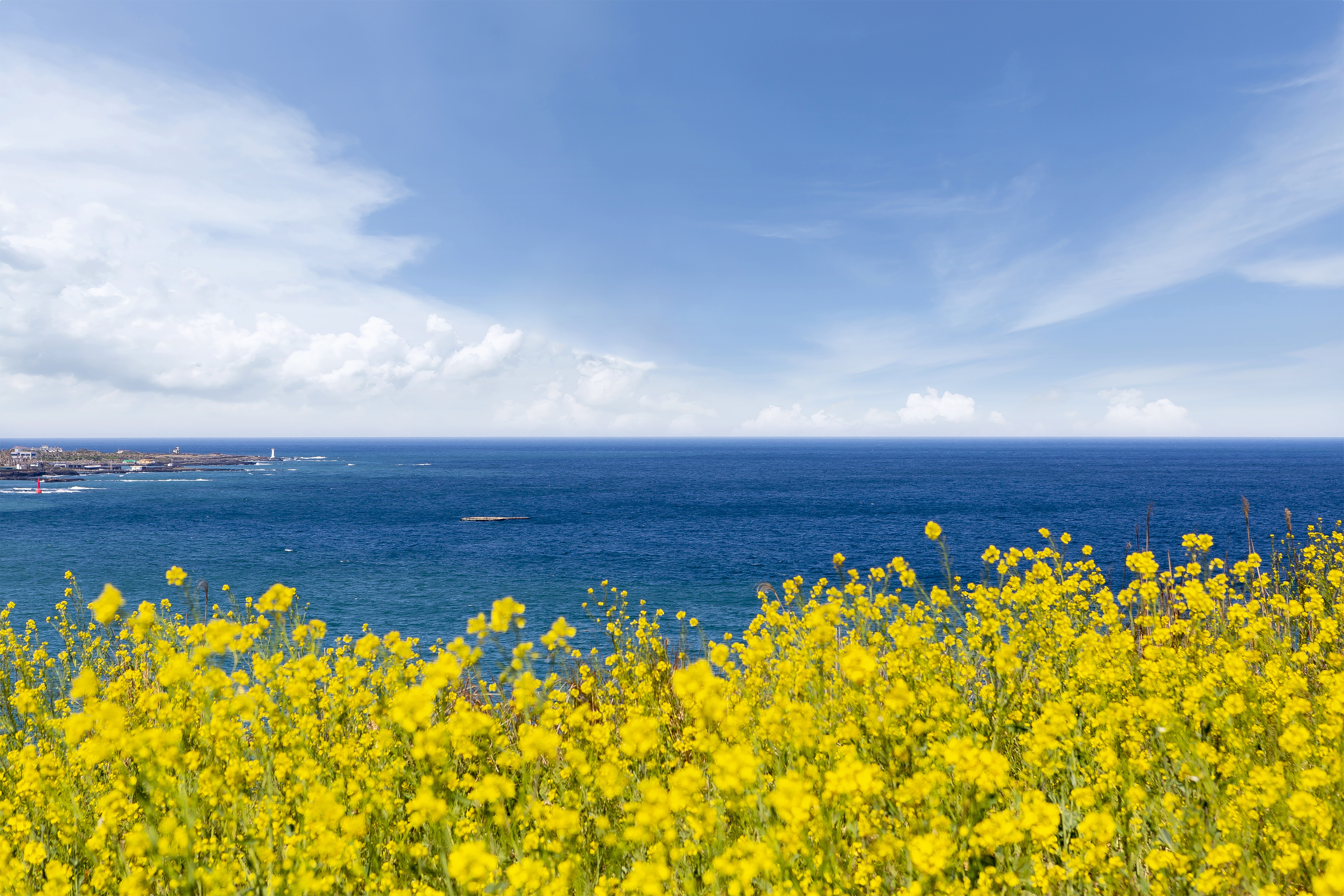 제주도 2박3일 총 여행비 계산