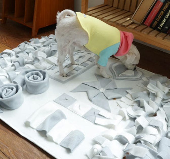 강아지 장난감 추천