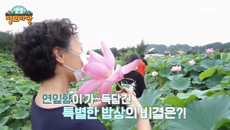 이맛에 살지 연꽃과 연잎 가득한 곳에 있는 연잎막국수, 연잎밥정식, 연잎토종닭 백숙 춘천 맛집 추천