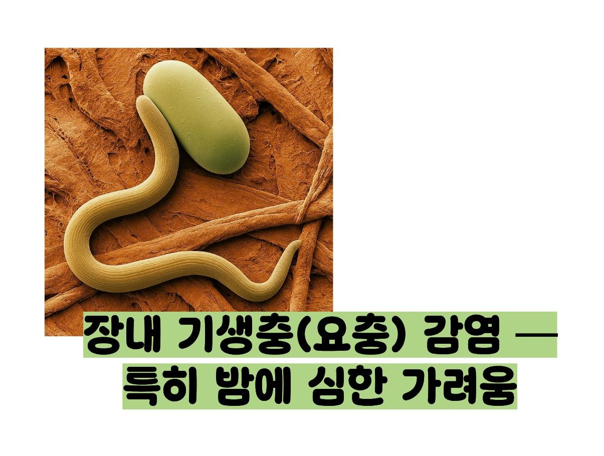 항문 가려움증 원인