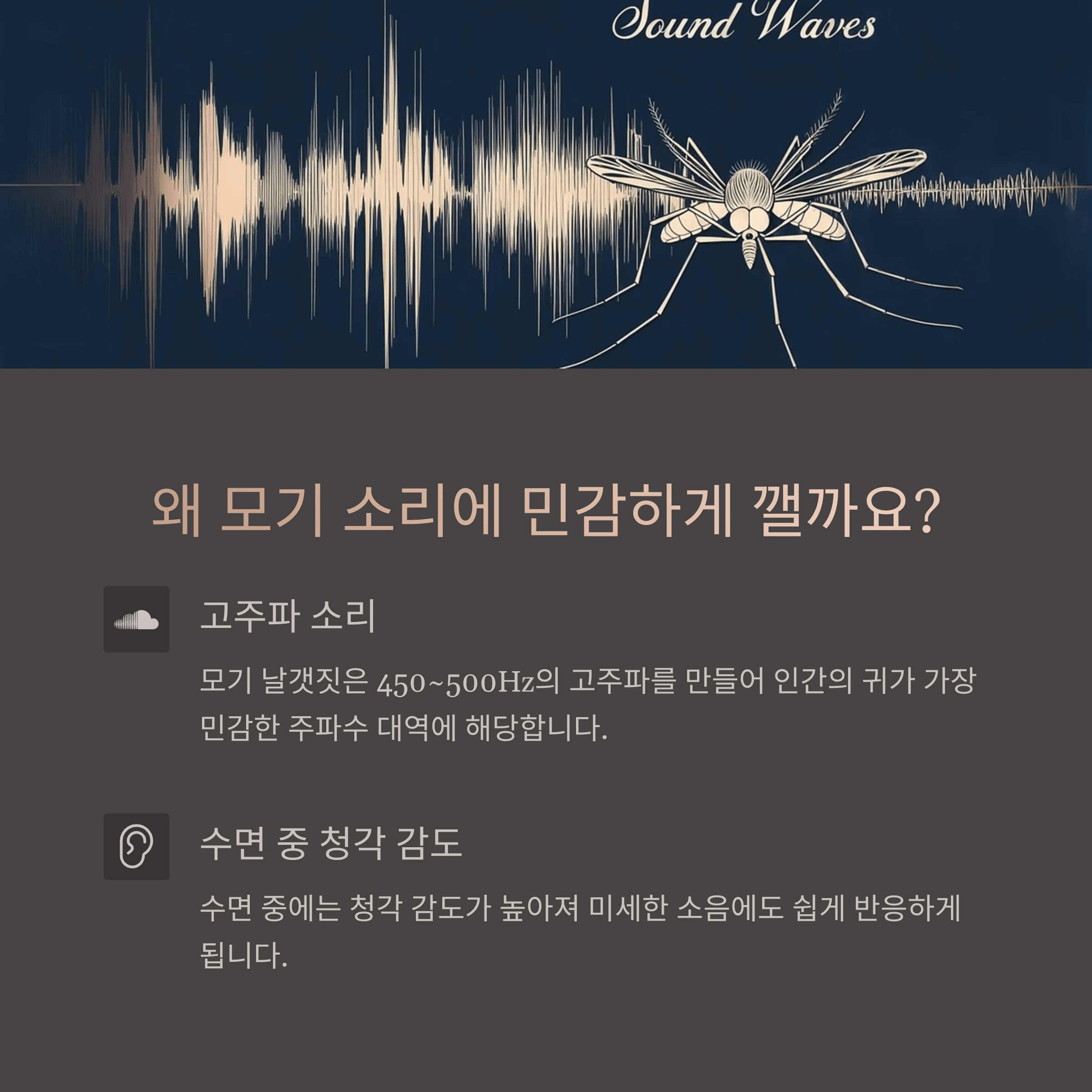 모기 소리에 잠 깨는 이유와 해결법