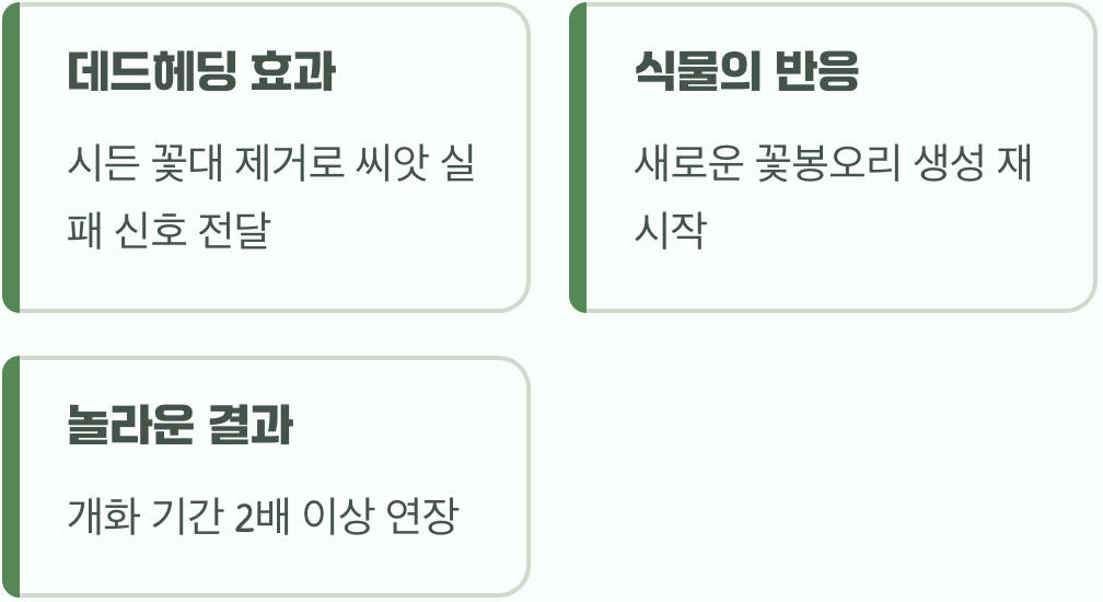 똑똑하게 식물 속이기