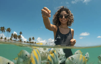 해외여행특가, 티웨이항공