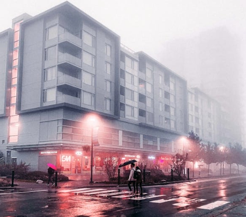 2024년 장마와 2025년 장마 비교