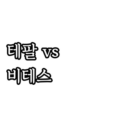 가성비 1구 인덕션 추천 테팔 에브리..