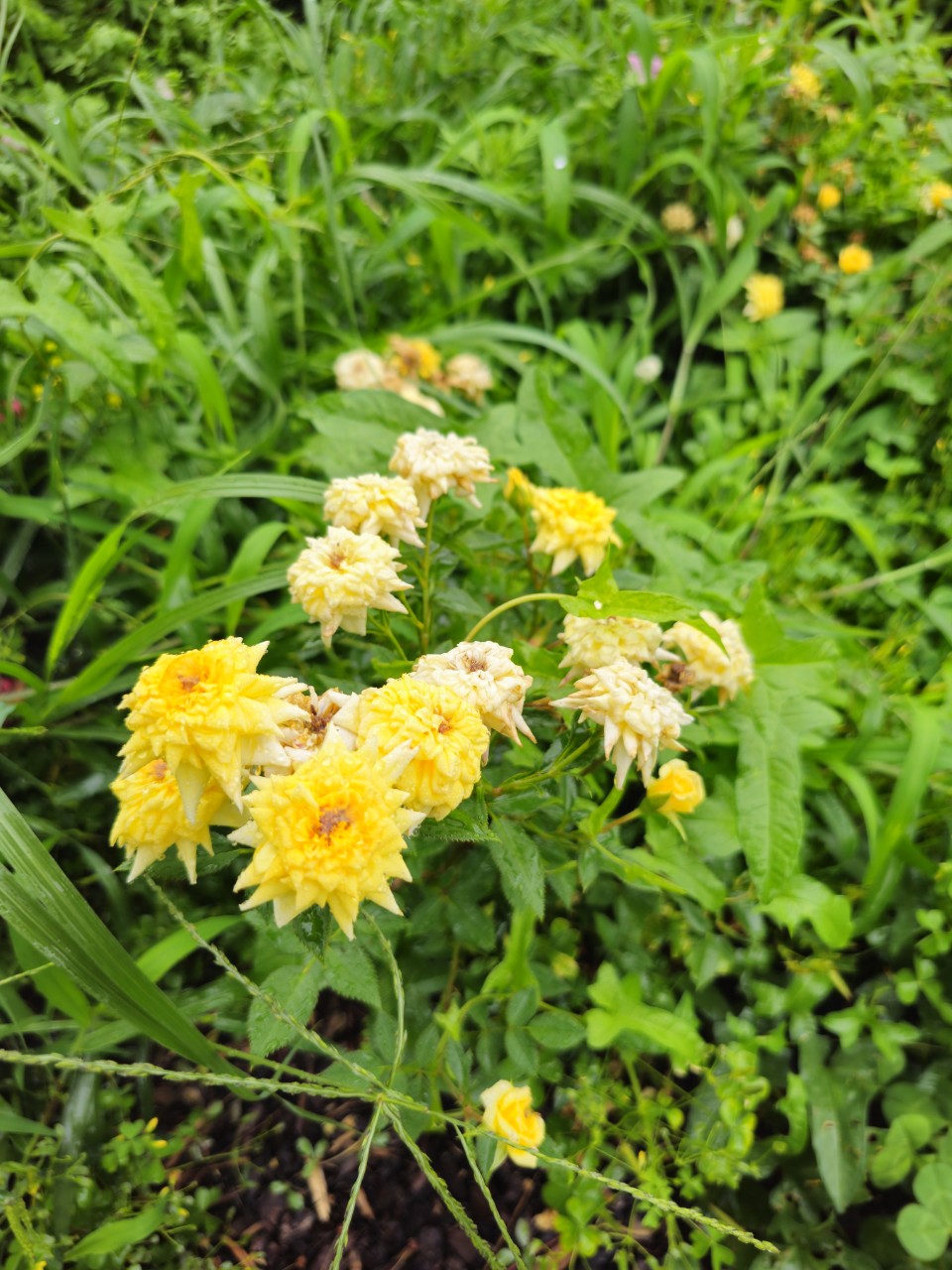 복지 사각지대 없는 선진국은 어디?