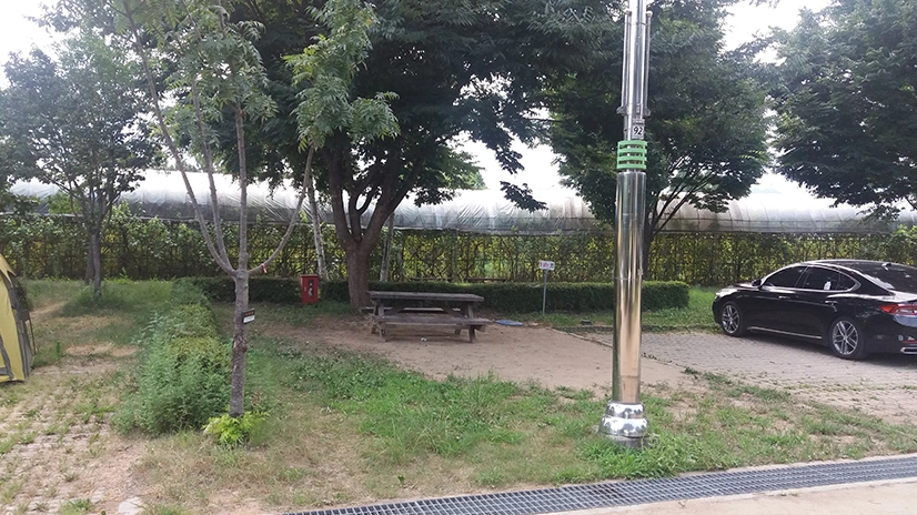 자라섬 캠핑장
