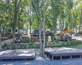 비슬산 자연휴양림 오토캠핑장 데크_1